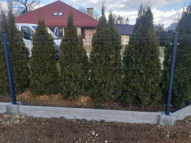 Montaż Ogrodzenia Panelowego