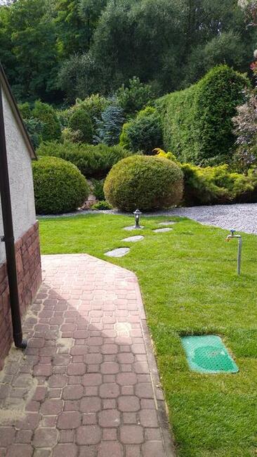 PROJEKTOWANIE, aranżacje, PIELĘGNACJA wykonywanie OGRODÓW