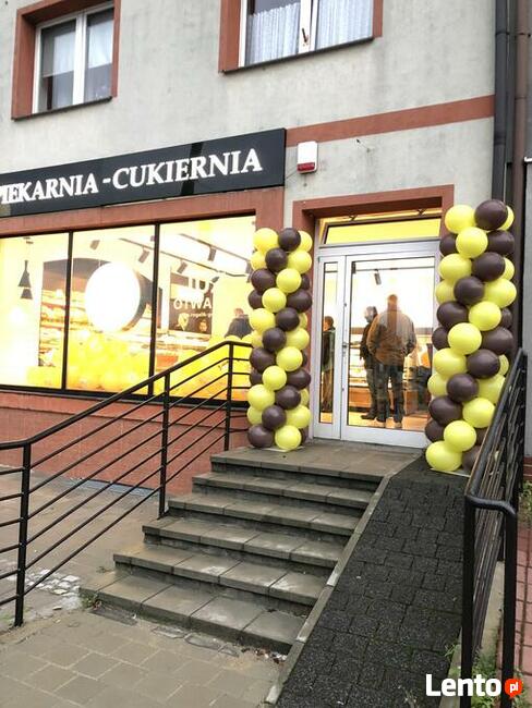 Kolumny balonowe, girlandy organiczne Gdynia, Gdańsk, Sopot