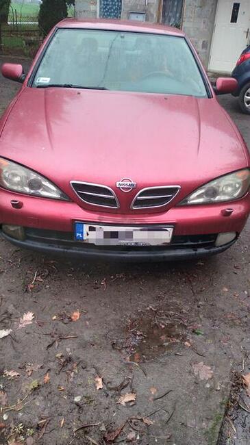 Nissan primera