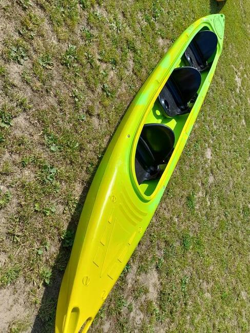 Finder Familly, Winner