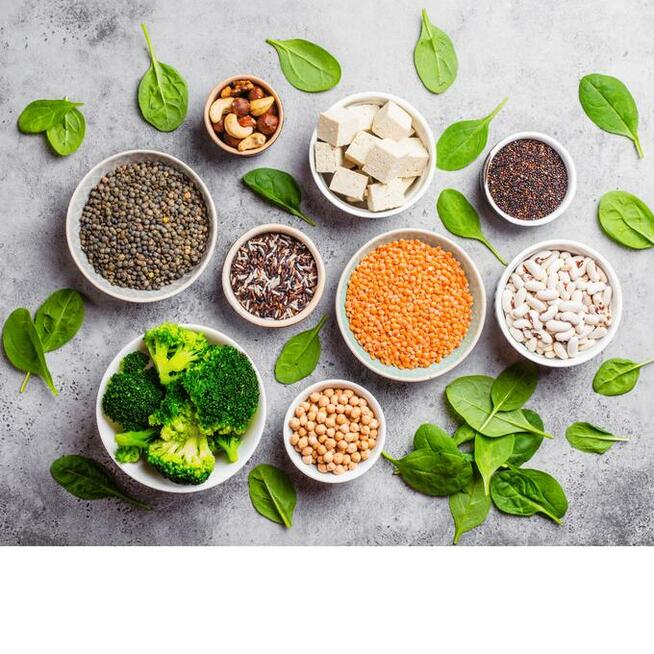 Technolog Żywności Doradztwo Konsultacje Znakowanie