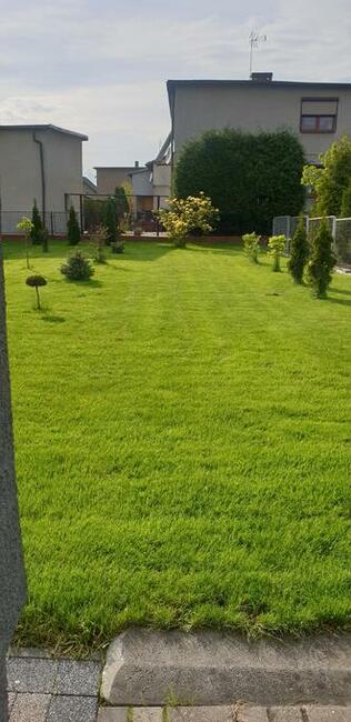 glebogryzarka separacyjna zakładanie trawników niwelacje