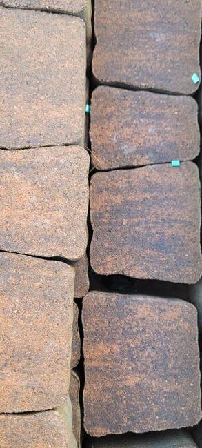 sprzedam palisadę brązową