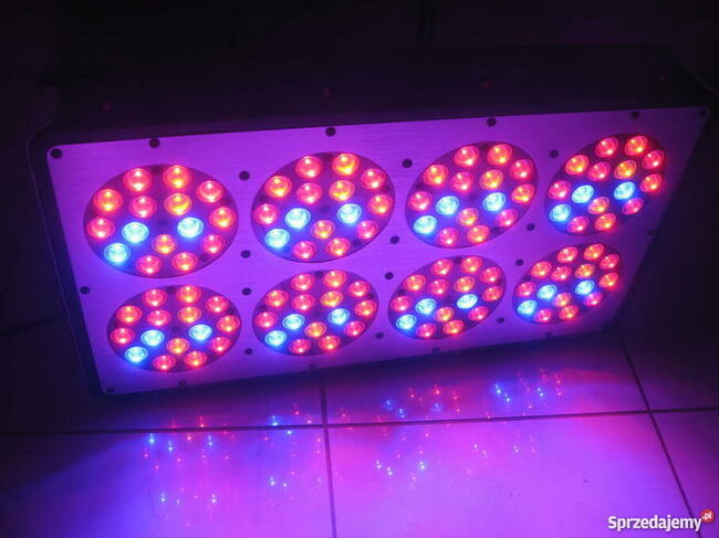 Ortoled lampa do uprawy roślin w homeboksie
