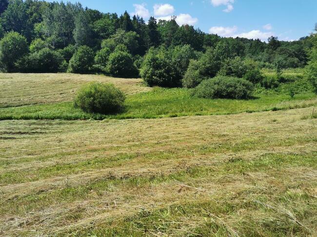 Działka z WZ 61 ar Uherce Mineralne Bieszczady