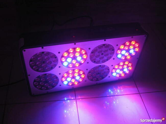 Ortoled lampa do uprawy roślin w homeboksie