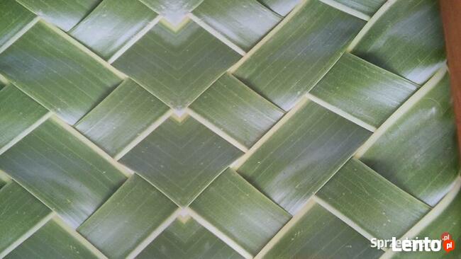 Tapeta z motywem roślinnym 1200 × 70 cm