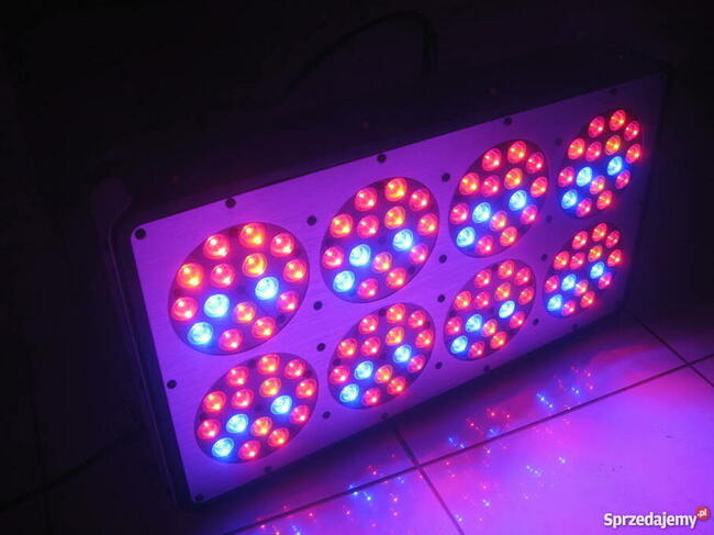 Ortoled lampa do uprawy roślin w homeboksie