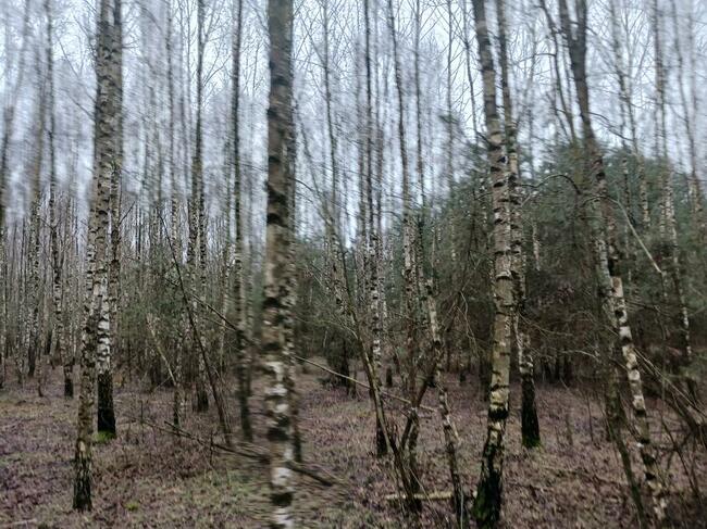 Wytnę drzewa krzaki z pól łąk działek