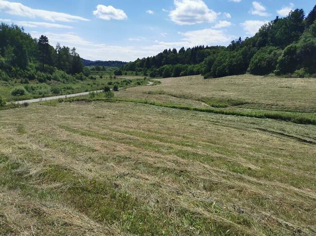 Działka z WZ 61 ar Uherce Mineralne Bieszczady