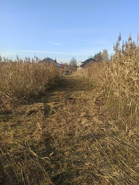 Koszenie trawy, nieużytków, arka bijakowa, karczowanie.Busko