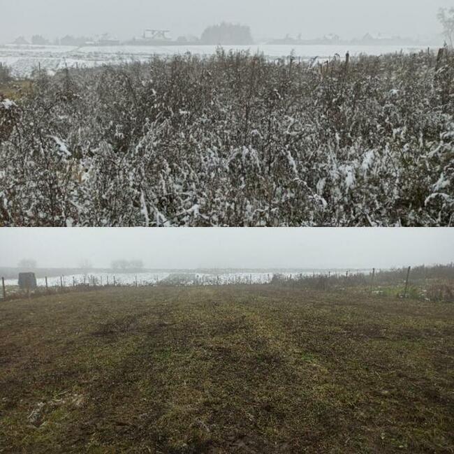 Koszenie trawy, nieużytków, kosiarka bijakowa, karczowanie