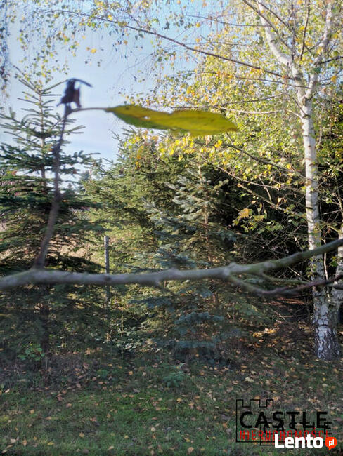 Działka budowlana Żabikowo,