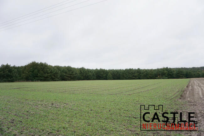 Działka rolna Stefanowice gm. Zbąszyń,