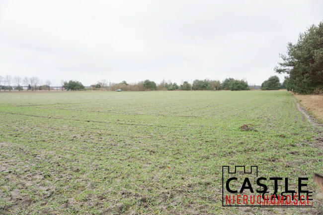 Działka rolna Stefanowice gm. Zbąszyń,