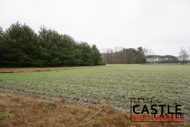 Działka rolna Stefanowice gm. Zbąszyń,