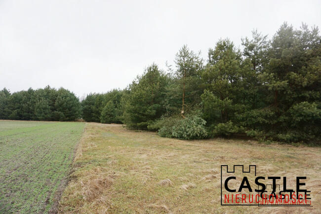 Działka rolna Stefanowice gm. Zbąszyń,