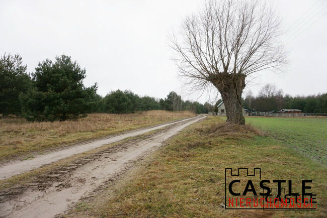 Działka rolna Stefanowice gm. Zbąszyń,