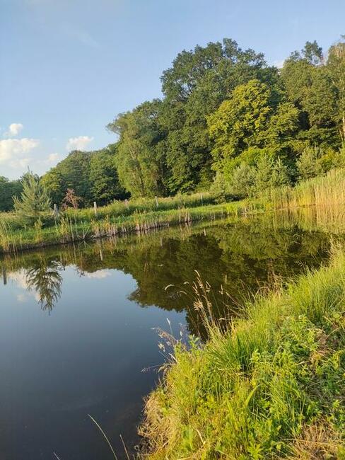 2 Domy nad stawem 30 km od Kolobrzegu