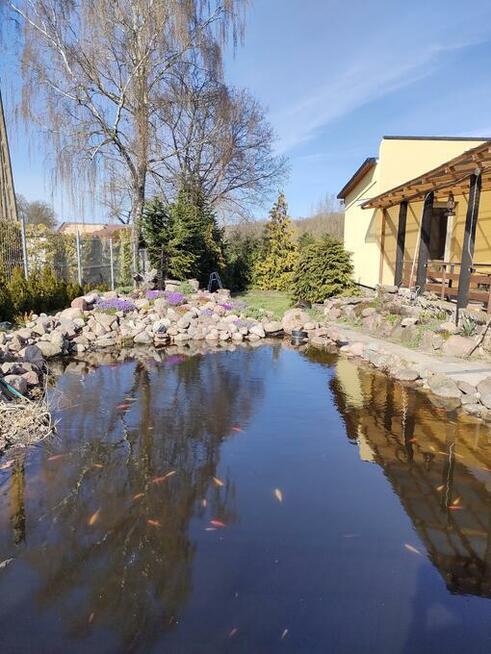 2 Domy nad stawem 30 km od Kolobrzegu