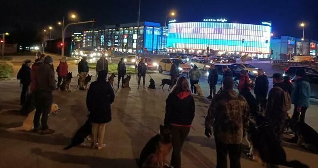 Szkolenie psów Kielce