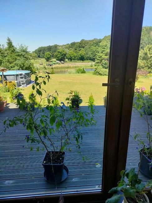 2 Domy nad stawem 30 km od Kolobrzegu