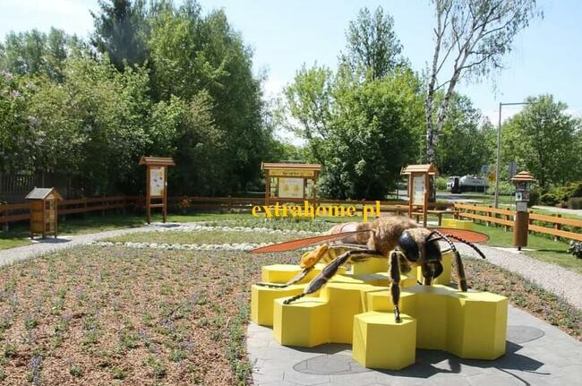 Pszczoła Edukacyjna 250cm ,ścieżka edukacyjna , Pszczoła gig