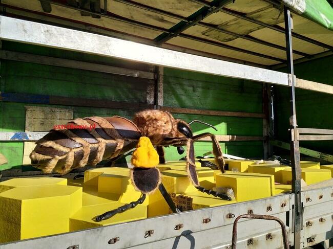 Pszczoła Edukacyjna 250cm ,ścieżka edukacyjna , Pszczoła gig