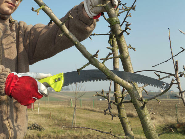 Koszenie trawy, nieużytków, kosiarka bijakowa, karczowanie.