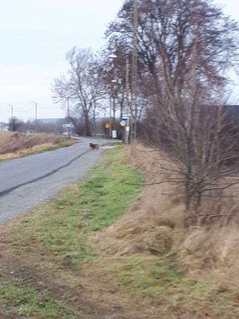 Działki siedliskowe