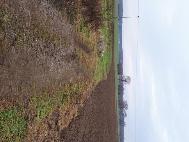 Działki siedliskowe