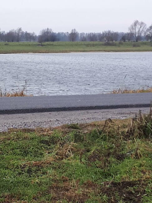 Działki siedliskowe