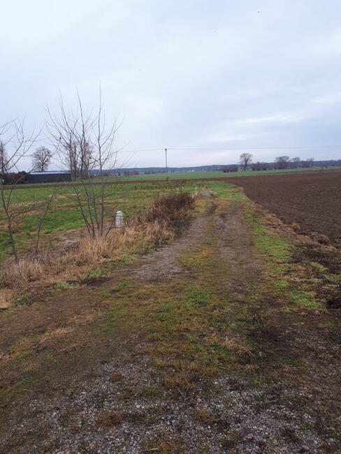 Działki siedliskowe