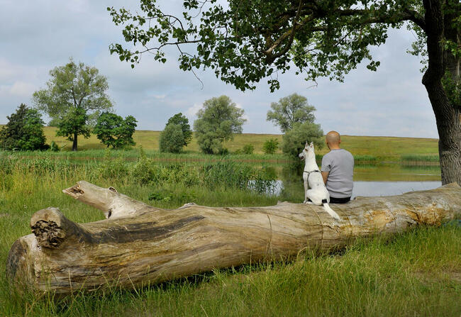 Terapia i Szkolenie Psów - Behawiorysta i Trener