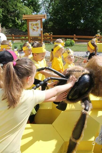 Pszczoła Edukacyjna 250cm ,ścieżka edukacyjna , Pszczoła gig