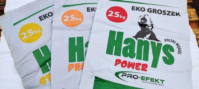 worki na wegiel pellet kore sól