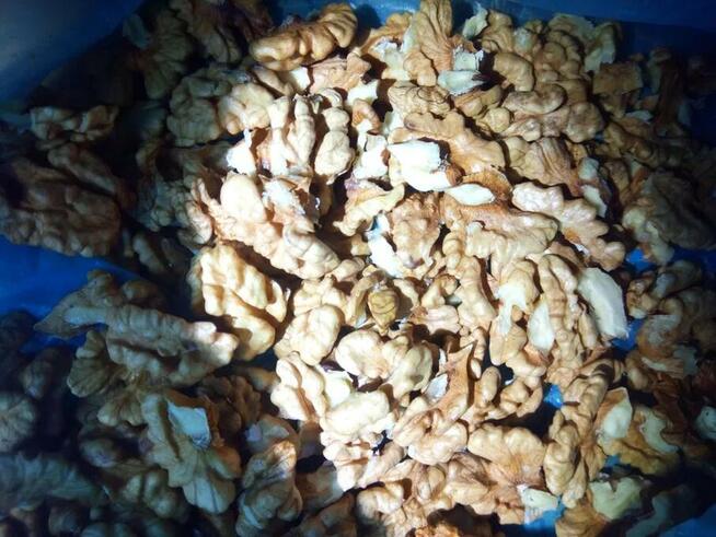 Orzech cały i łuskany