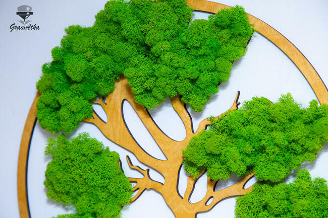 DRZEWO ŻYCIA Prezent dla Babci i Dziadka mech CHROBOTEK 50cm