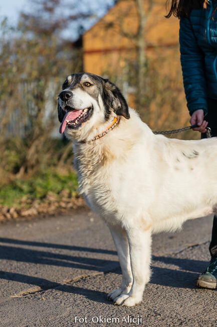 Corina_energiczna, radosna.