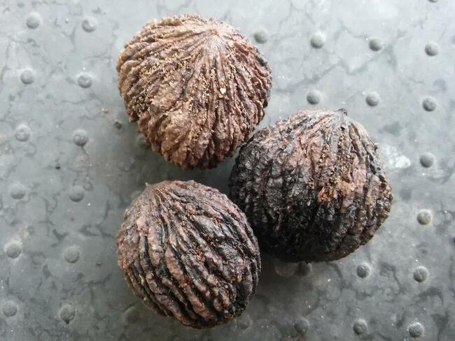 Orzech cały i łuskany