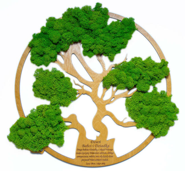 DRZEWO ŻYCIA Prezent dla Babci i Dziadka mech CHROBOTEK 50cm