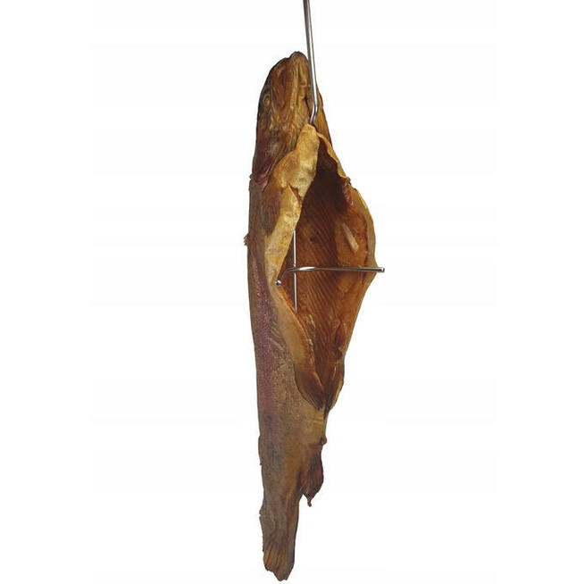 Hak Haki Do Wędzenia RYB PSTRĄGA MAKRELI SIELAWY 10 sztuk