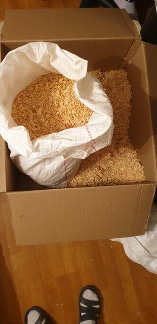 Trociny gla świnek morskich 5 zł