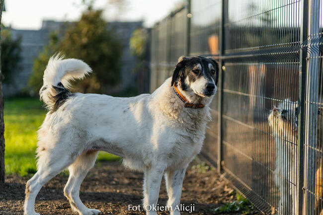 Corina_energiczna, radosna.