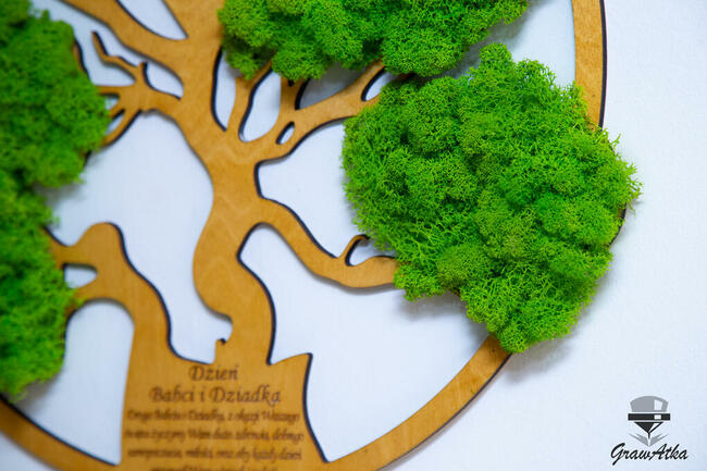 DRZEWO ŻYCIA Prezent dla Babci i Dziadka mech CHROBOTEK 50cm