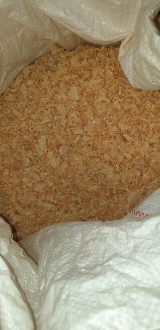 Trociny gla świnek morskich 5 zł