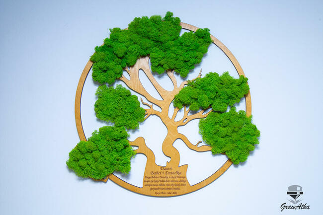 DRZEWO ŻYCIA Prezent dla Babci i Dziadka mech CHROBOTEK 50cm