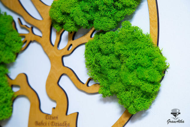 DRZEWO ŻYCIA Prezent dla Babci i Dziadka mech CHROBOTEK 50cm