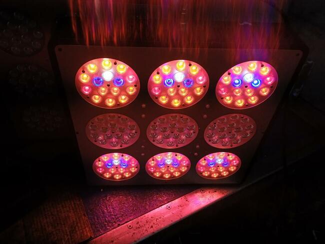 Lampa do uprawy roślin LED 405W BlackStar Chrome